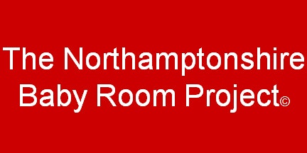 Immagine principale di Northamptonshire Baby Room Project - Practitioners Course 