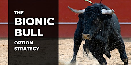 Making Money with the Bionic Bull Option Strategy!
