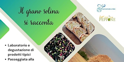 Hauptbild für Il grano solina si racconta