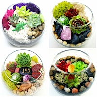 Image principale de Family Plant Party: Make a Succulent Terrarium