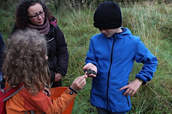 Guided Biodiversity Walk at Camcor Wood (Offaly) for Biodiversity Week  primärbild