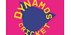 Dynamos Cricket Y3/4- TONBRIDGE  primärbild