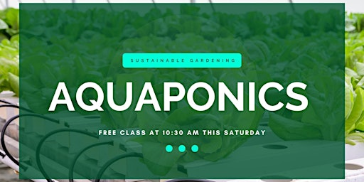 Grow Your Own Food EASIER - FREE Aquaponics Made Simple Workshop primary image