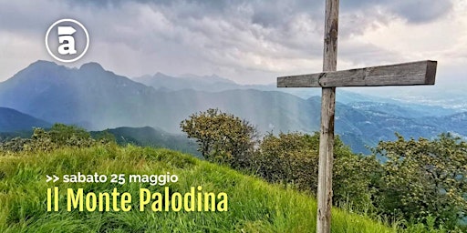 Immagine principale di Il Monte Palodina 