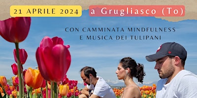 Immagine principale di Mindfulness tra i tulipani - Grugliasco 
