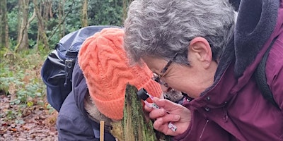 Imagem principal do evento Guided Biodiversity Walk at Girley Bog