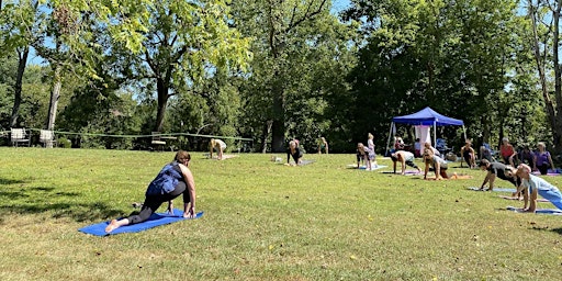 Imagem principal do evento Outdoor Yoga
