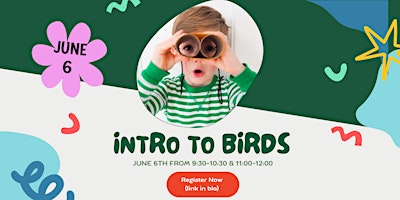 Primaire afbeelding van Intro to Birds for children (Free)