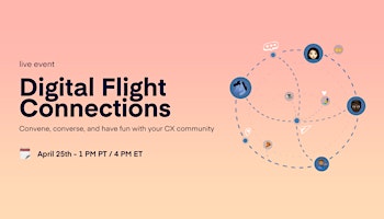 Primaire afbeelding van Digital Flight Connections