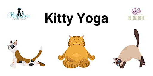 Imagem principal do evento Kitty Yoga