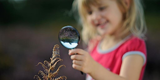 Primaire afbeelding van Spot the Species Treasure Hunt