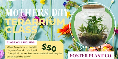 Mothers' Day Terrarium Class primary image