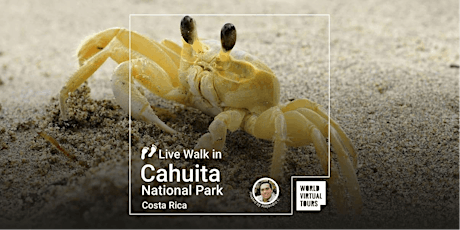 Live Walk in Cahuita National Park - Costa Rica