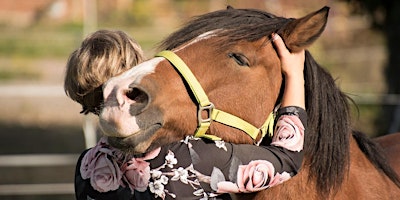 Imagem principal de Meditation with the Horses