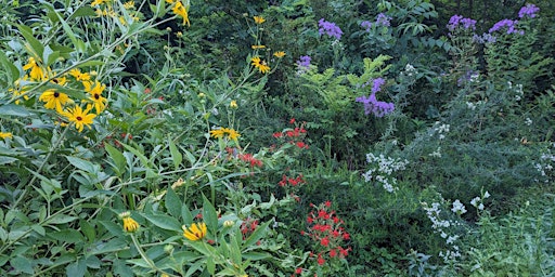 Imagem principal do evento Creating Vibrant Pollinator Gardens