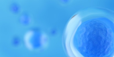 Imagen principal de Talking embryos: changing public perceptions of embryo research