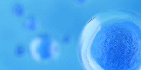 Hauptbild für Talking embryos: changing public perceptions of embryo research