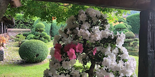 Primaire afbeelding van Nuova visita guidata al Giardino Giapponese