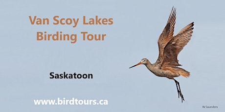Van Scoy Lakes Birding Tour
