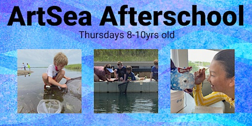 Hauptbild für ArtSea After School  - Oysters/Shells- 8-10yr