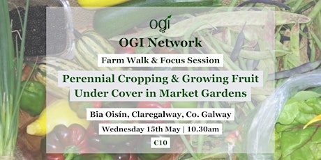 OGI Network Farm Walk & Focus Session at Bia Oisín
