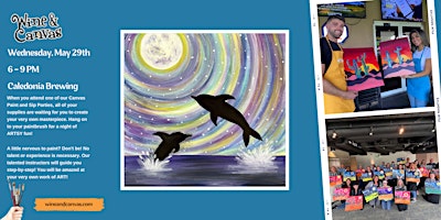 Dunedin Paint Party – Playful Dolphins primary image