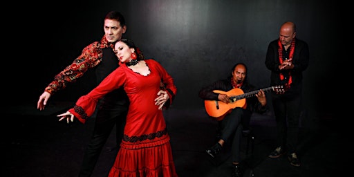 Primaire afbeelding van Ida y Vuelta Flamenco Performance