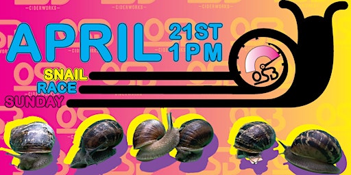 Primaire afbeelding van SNAIL RACE SUDAY! (OSB BUFFALO 4/21)