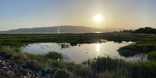 Hauptbild für Utah Lake Shoreline Cleanup: May 2024