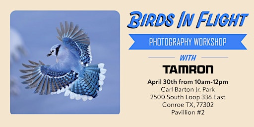 Imagem principal do evento Birds In Flight Photography Workshop with Tamron