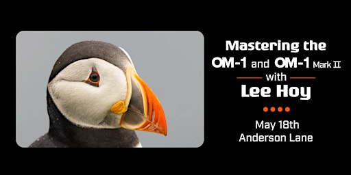 Imagem principal do evento Mastering the OM-1 & OM-1 Mark II with Lee Hoy