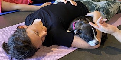 DNYP - Pups and Poses at Free To Be Yoga! primary image