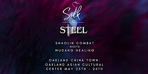 Silk & Steel  | Shaolin Combat Meets Wudang Healing Vendor Fair primary image