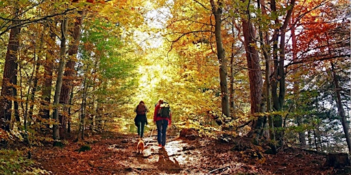 Imagen principal de Step into Nature: A Beginner's Guide to Hiking