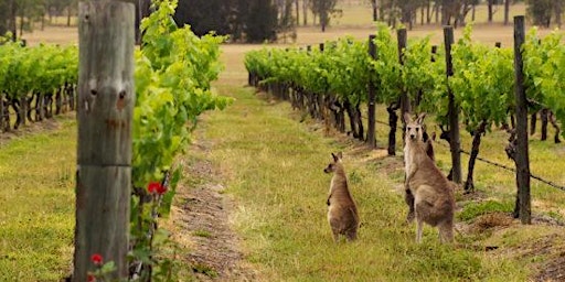 Hauptbild für April Wine Club Tasting - Australia