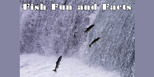 Hauptbild für Fish Fun and Facts