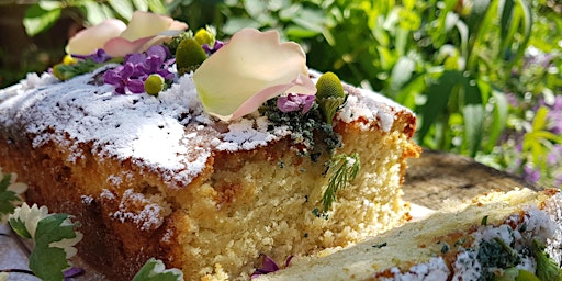 Primaire afbeelding van Gardening Lady Summer Foraging Walk  with Lunch