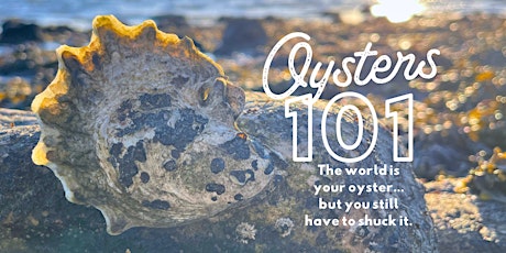 Oysters 101