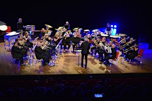 Primaire afbeelding van Summer Concert