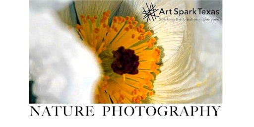 Imagem principal de Nature Photography Workshop