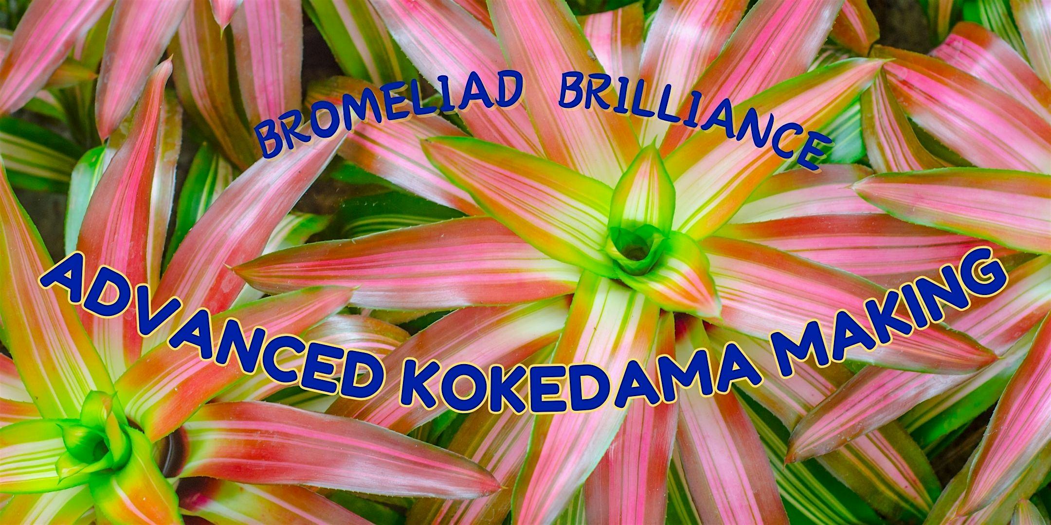 gARTening Series:  Bromeliad Brilliance: Advance Kokedama Making  7\/26\/24