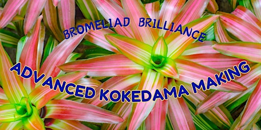 gARTening Series:  Bromeliad Brilliance: Advance Kokedama Making  7/26/24 primary image