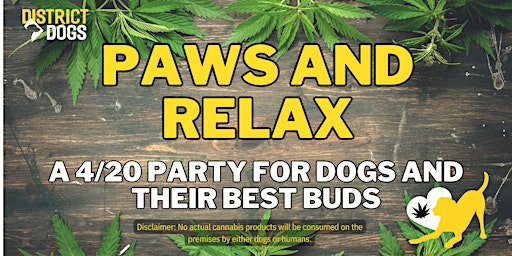 Primaire afbeelding van Paws & Relax: A 4/20 Party for Dogs and Their Best Buds