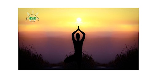 Introduction to Vinyassa Flow Yoga with Ben Wisch primary image