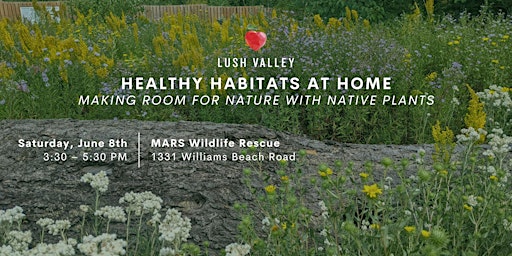 Imagem principal do evento Healthy Habitats at Home: Making Room for Nature with Native Plants