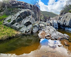 Imagem principal de Interwoven: Family Oaks Canyon Hike