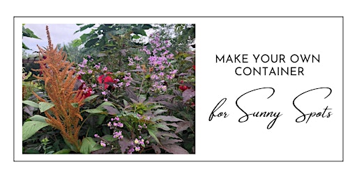 Image principale de Create Your Own Container Pot For SUN