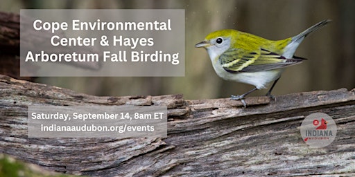 Cope Environmental Center & Hayes Arboretum Birding  primärbild