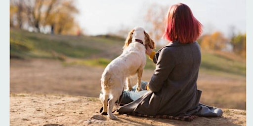 Hauptbild für DIE KRAFT DER GEDANKEN - Wie mentale Techniken das Hundetraining optimieren