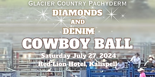 Imagem principal do evento Diamonds and Denim Cowboy Ball